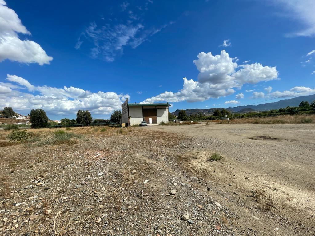 Domain en vente à Pizarra