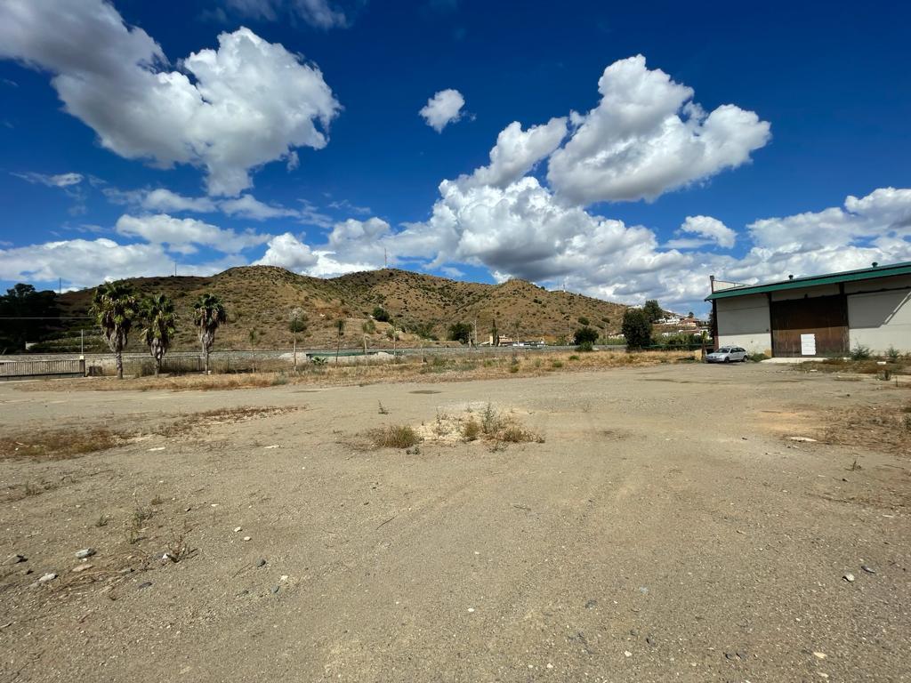 Domain en vente à Pizarra