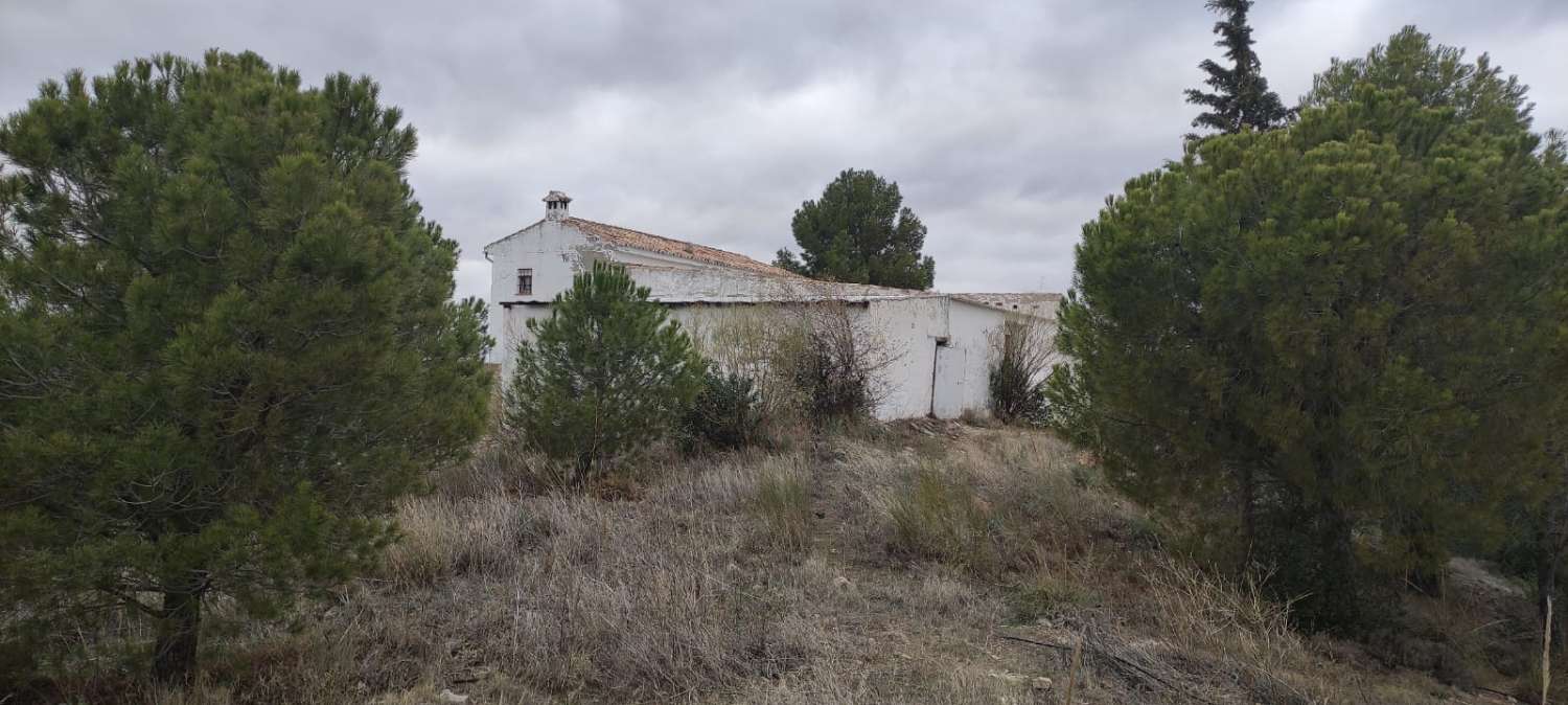 CORTIJO À 5 MINUTES D’ANTEQUERA