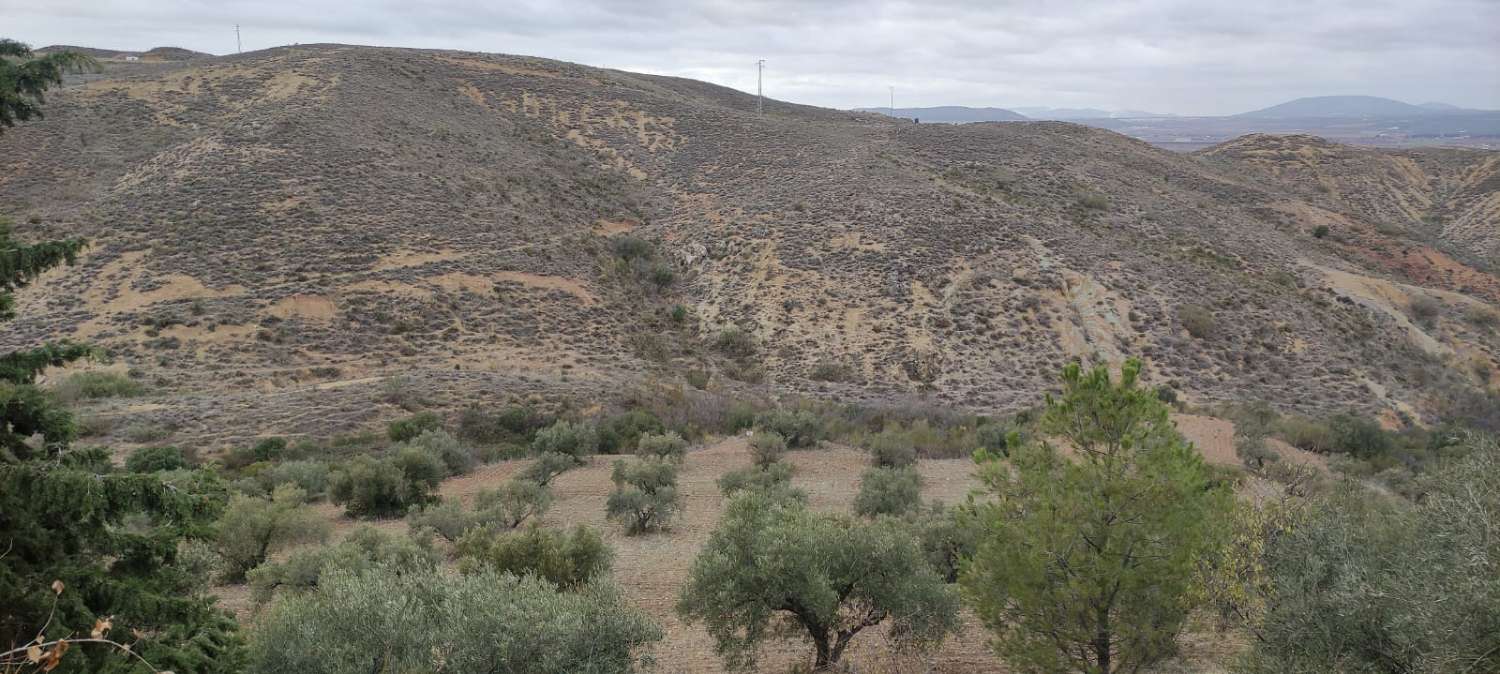 CORTIJO À 5 MINUTES D’ANTEQUERA