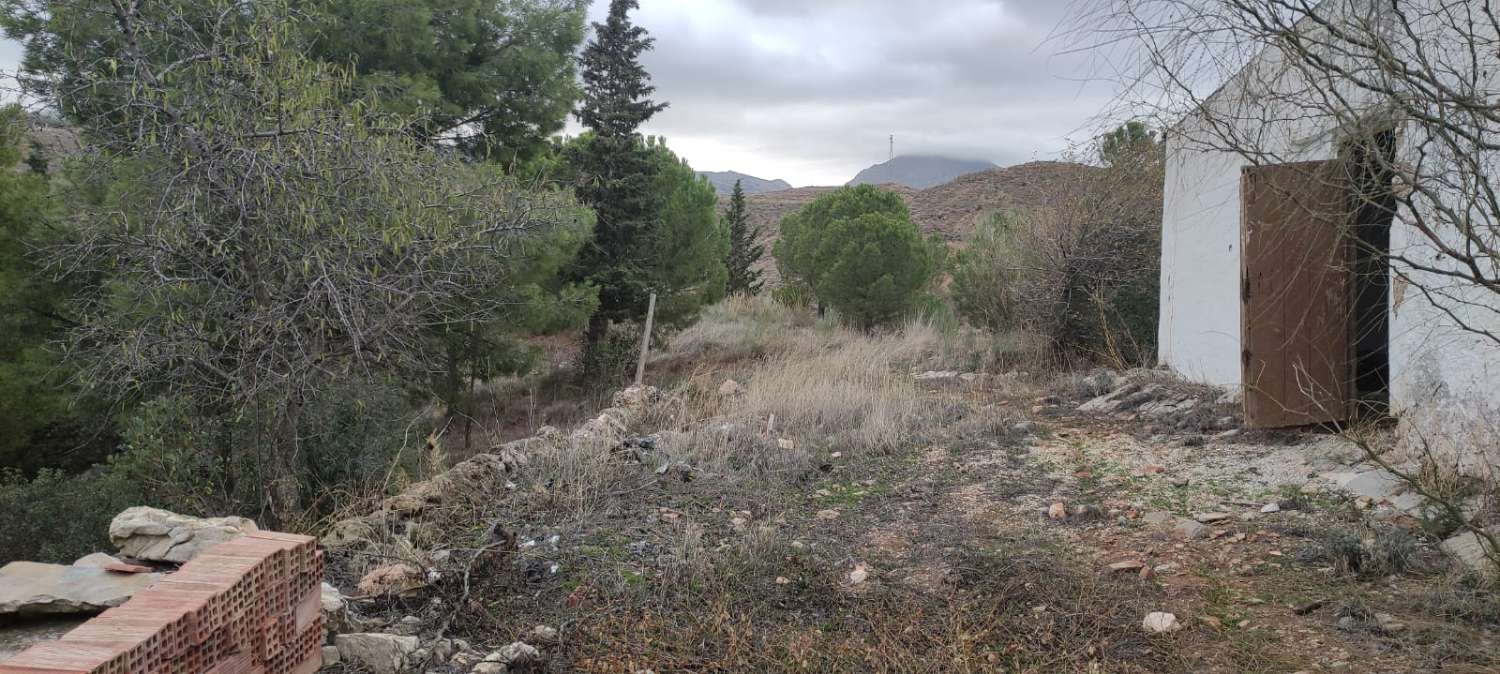 CORTIJO A 5 MINUTOS DE ANTEQUERA