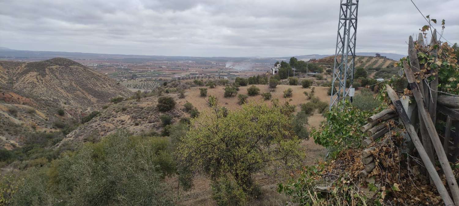 CORTIJO A 5 MINUTOS DE ANTEQUERA