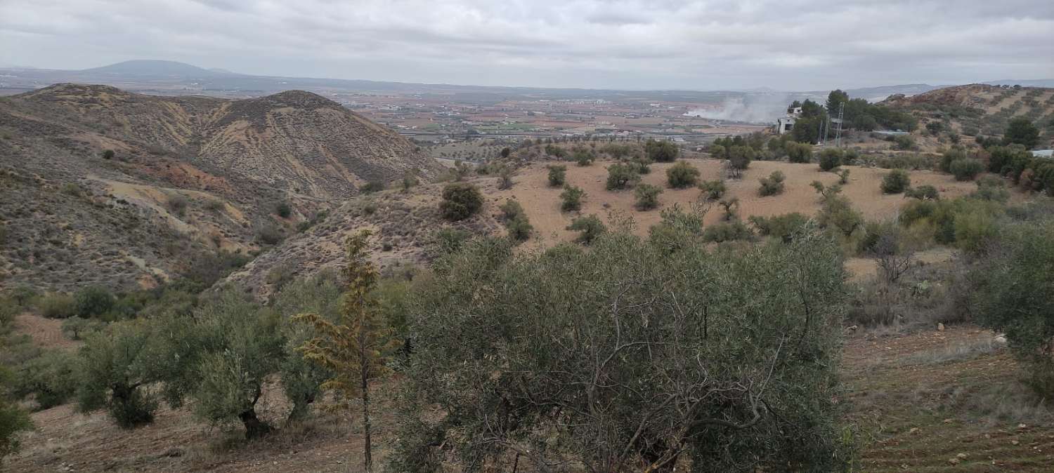 CORTIJO À 5 MINUTES D’ANTEQUERA