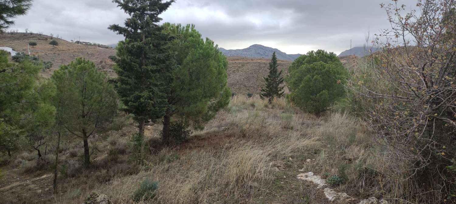 CORTIJO A 5 MINUTOS DE ANTEQUERA