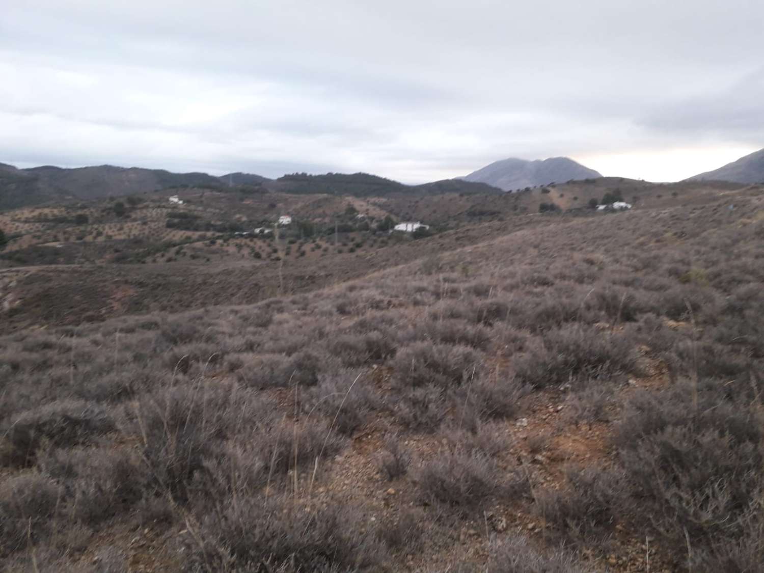 CORTIJO À 5 MINUTES D’ANTEQUERA