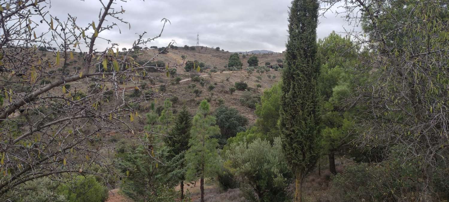 CORTIJO 5 MINUTES FROM ANTEQUERA