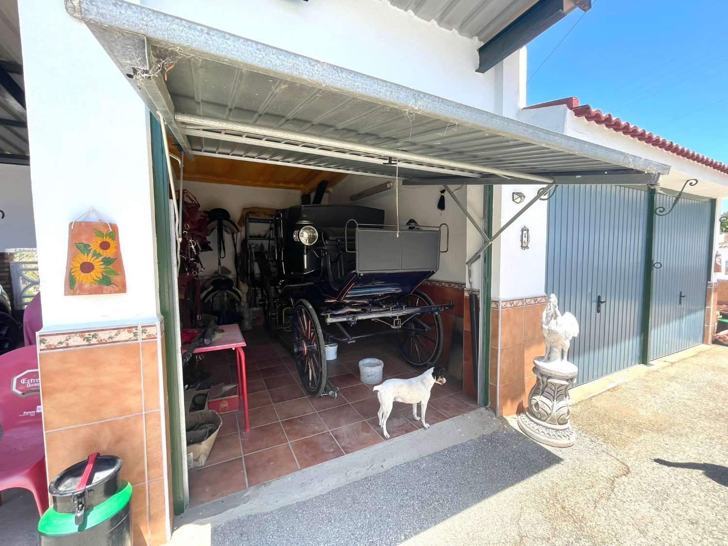 Finca con casa e instalaciones para caballos en Alhaurin de la Torre.