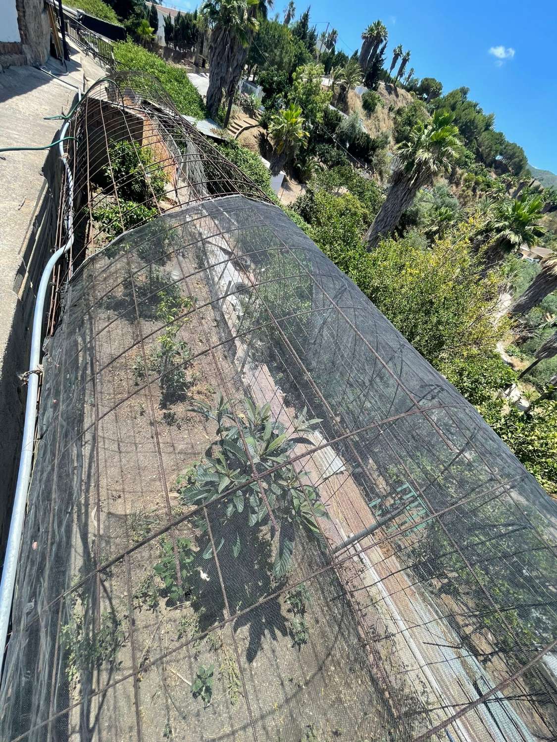 Finca con casa e instalaciones para caballos en Alhaurin de la Torre.