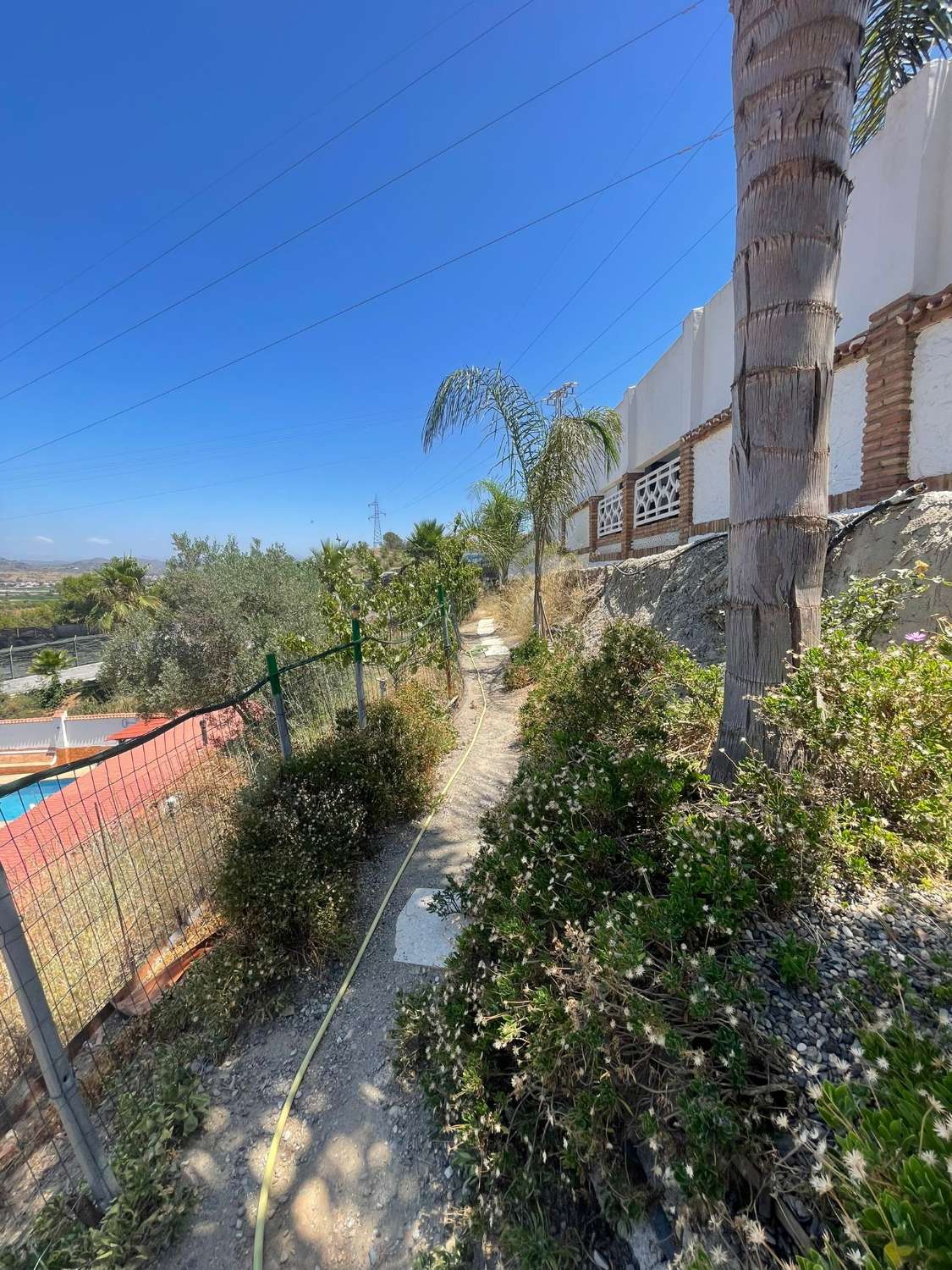 Finca con casa e instalaciones para caballos en Alhaurin de la Torre.