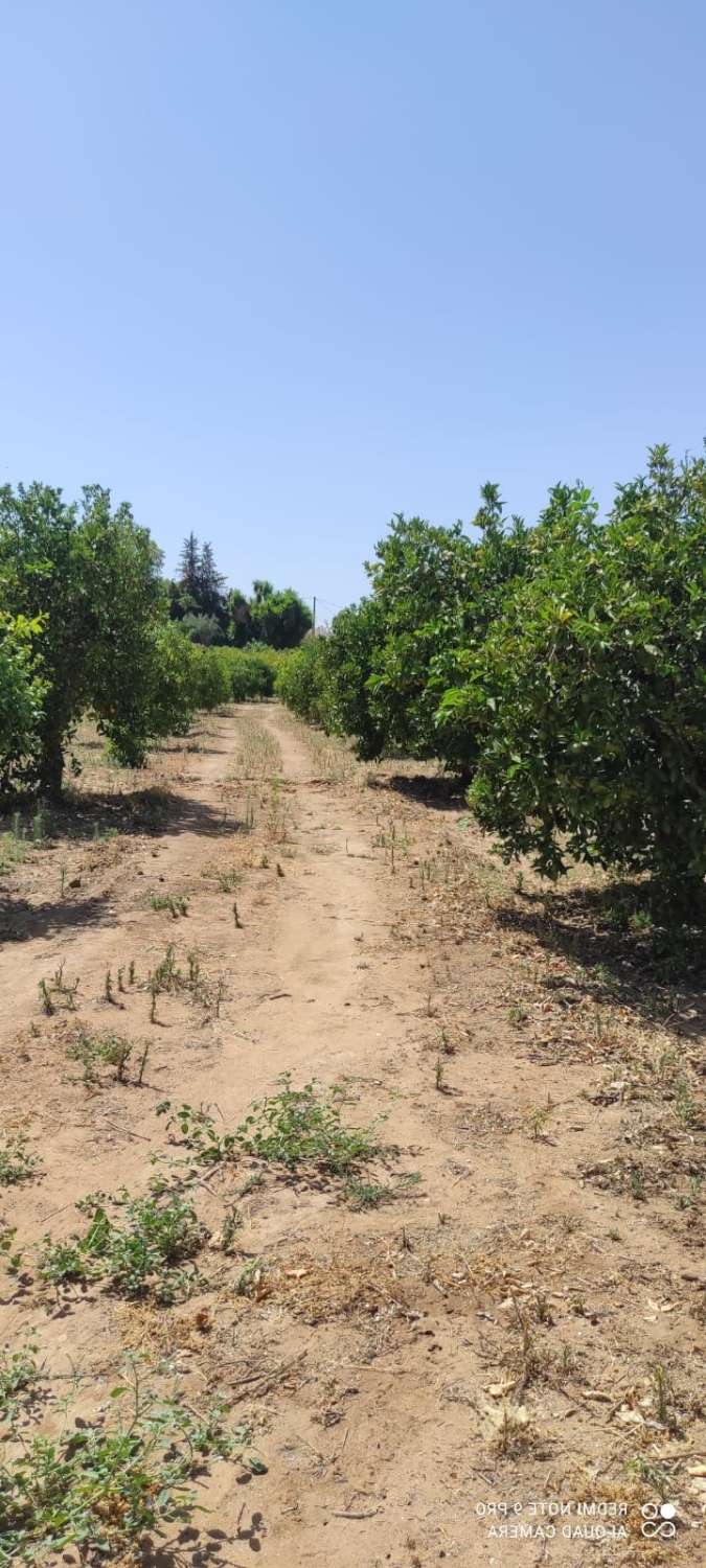 Parcela en venta en Alhaurín el Grande