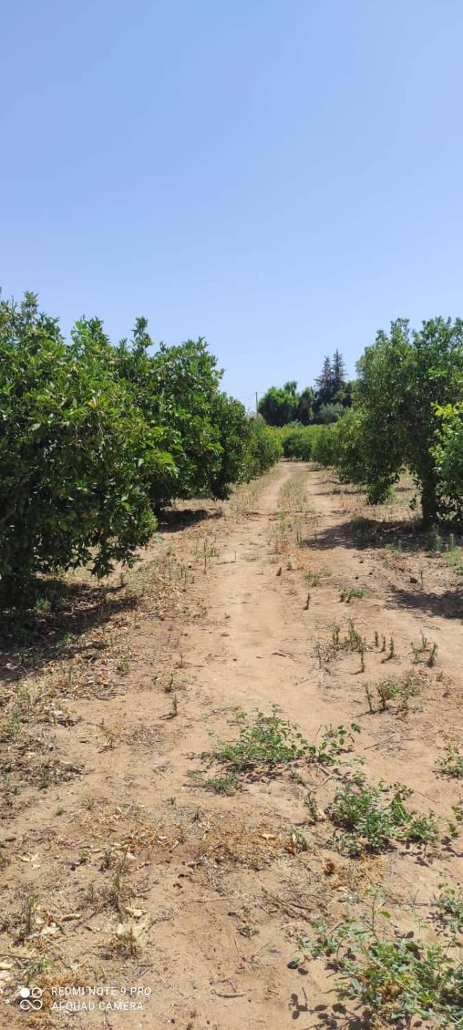 Parcela en venta en Alhaurín el Grande