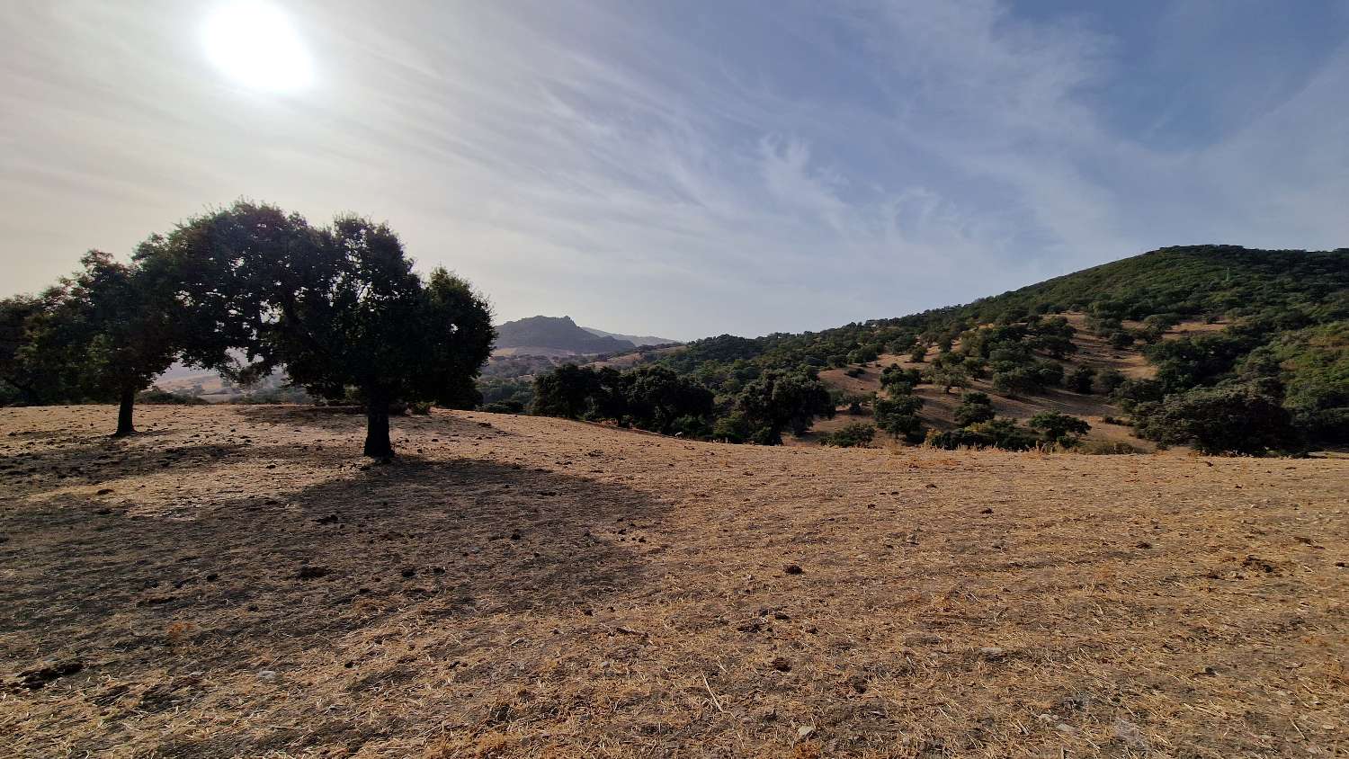 Grundstück zum verkauf in Olvera