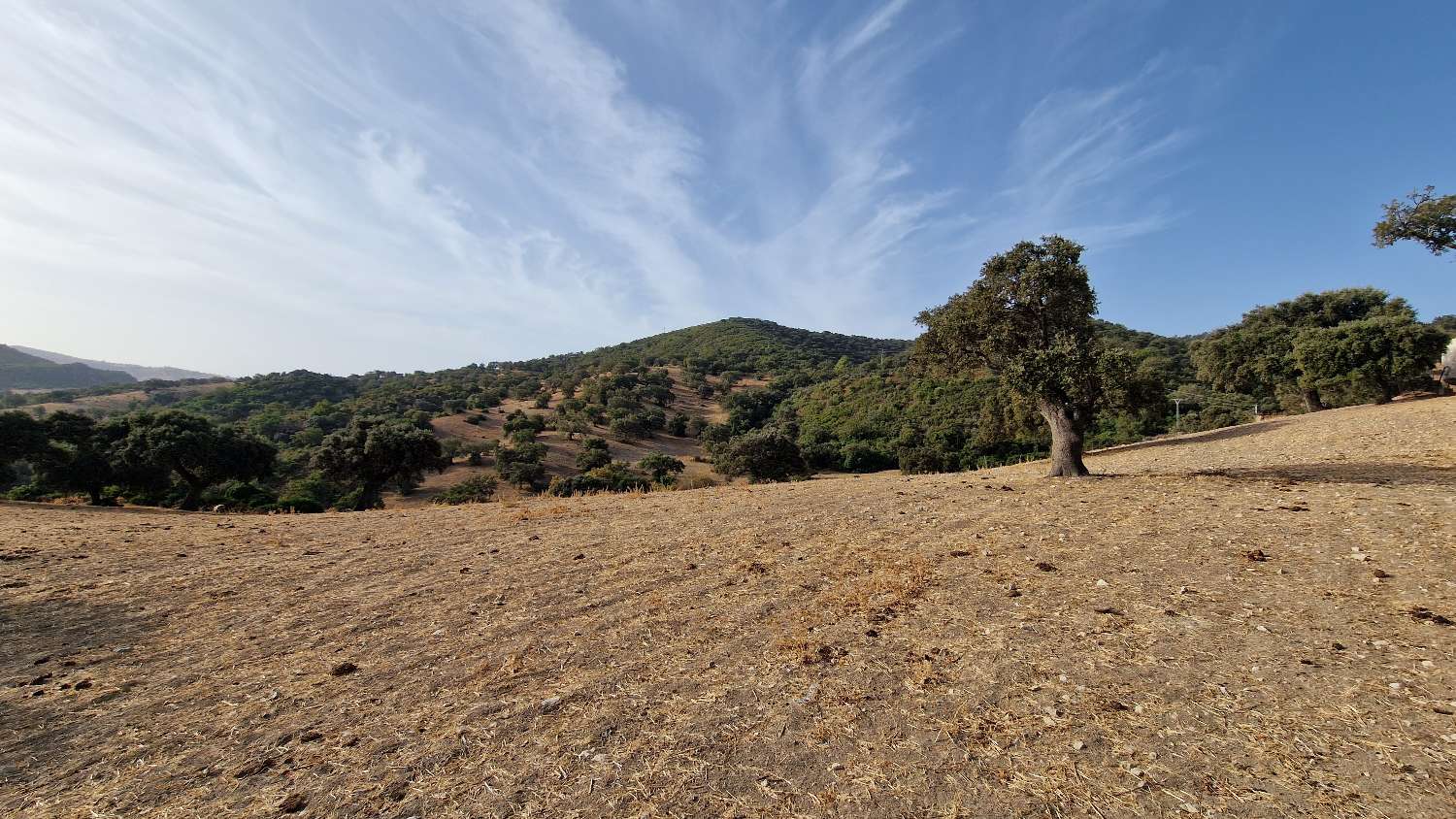 Finca en venta en Olvera