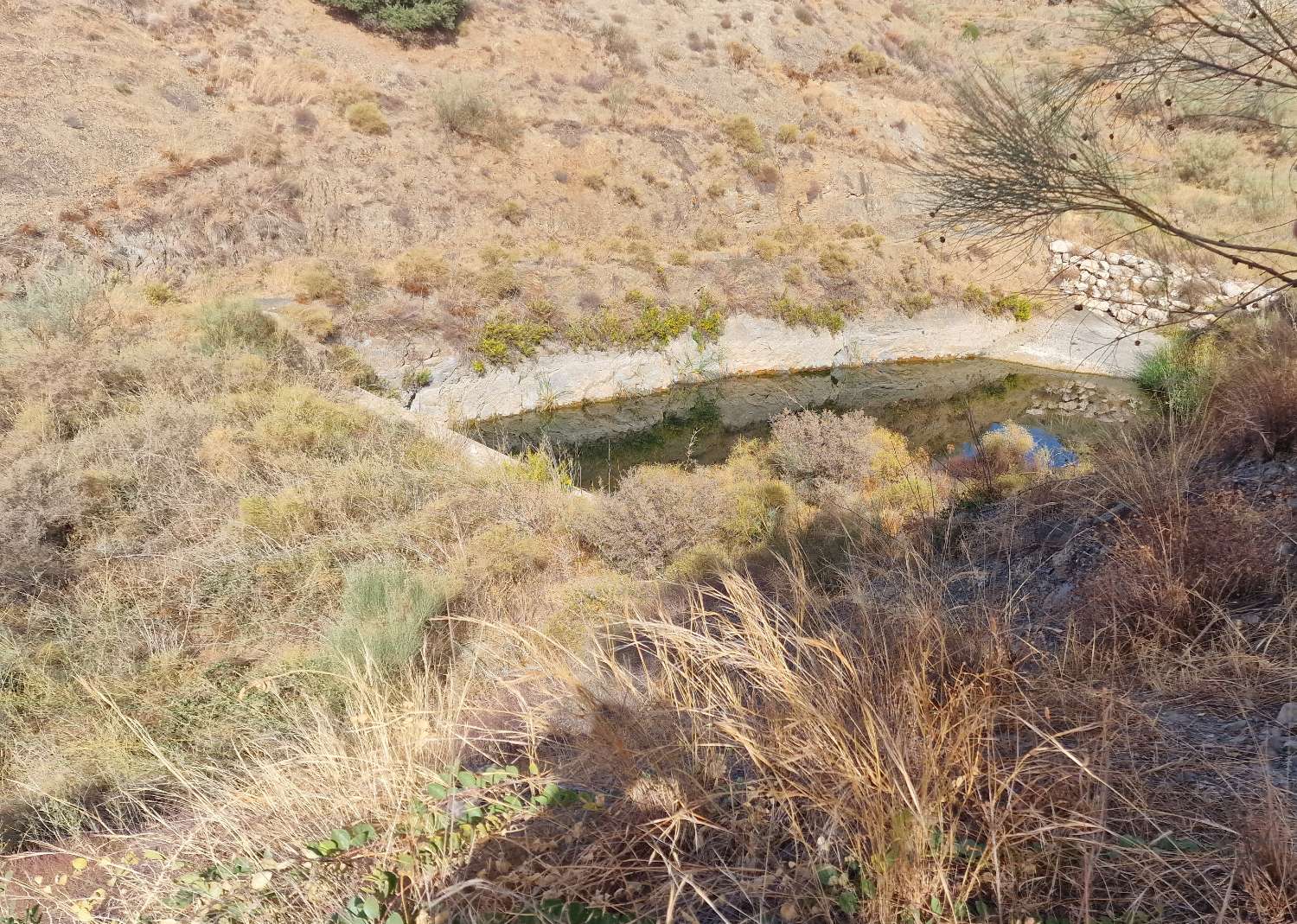 Finca en venta en Estación de Cártama