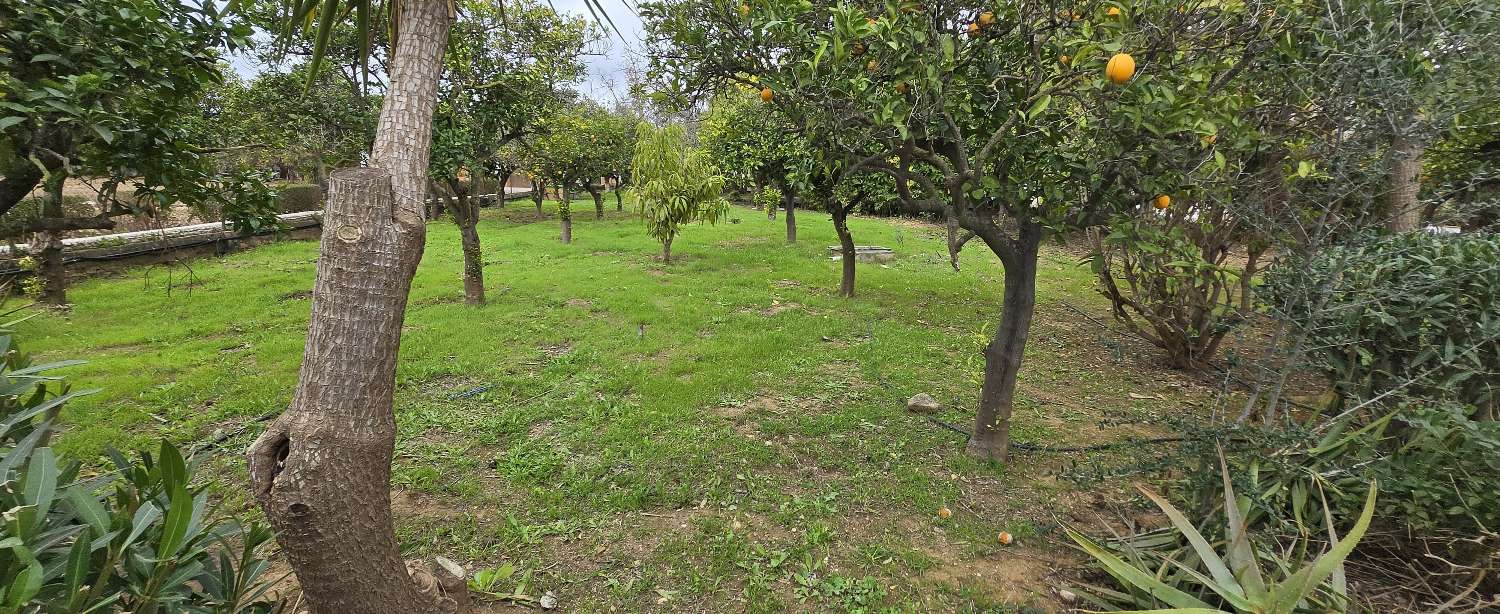 Villa for sale in Alhaurín de la Torre
