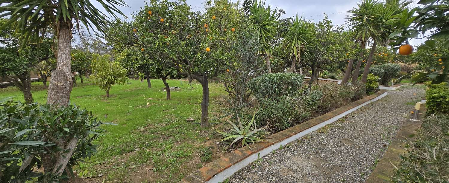 Villa for sale in Alhaurín de la Torre
