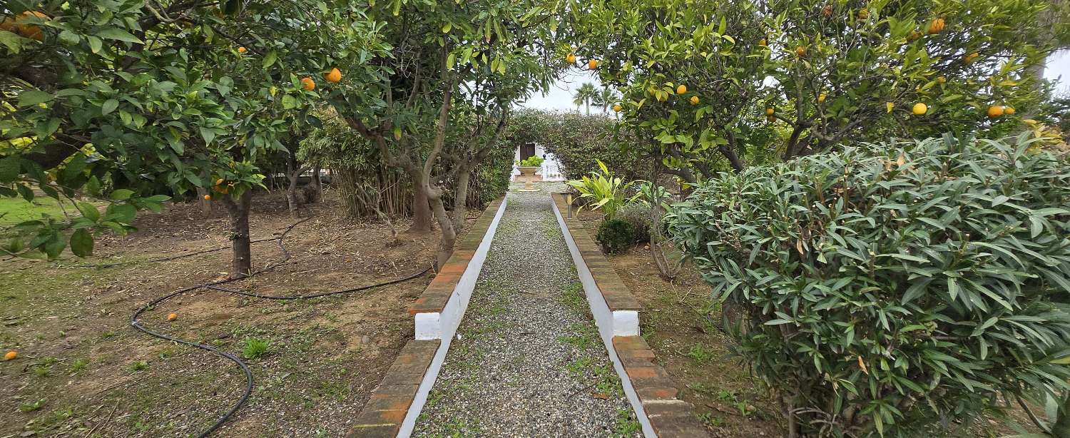 Villa for sale in Alhaurín de la Torre