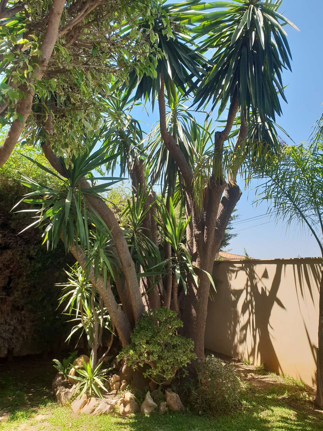 Villa en venta en Alhaurín de la Torre