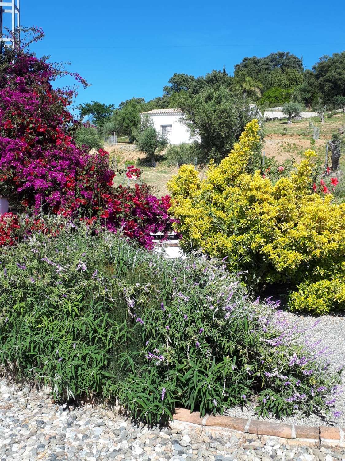 Villa en vente à Coín