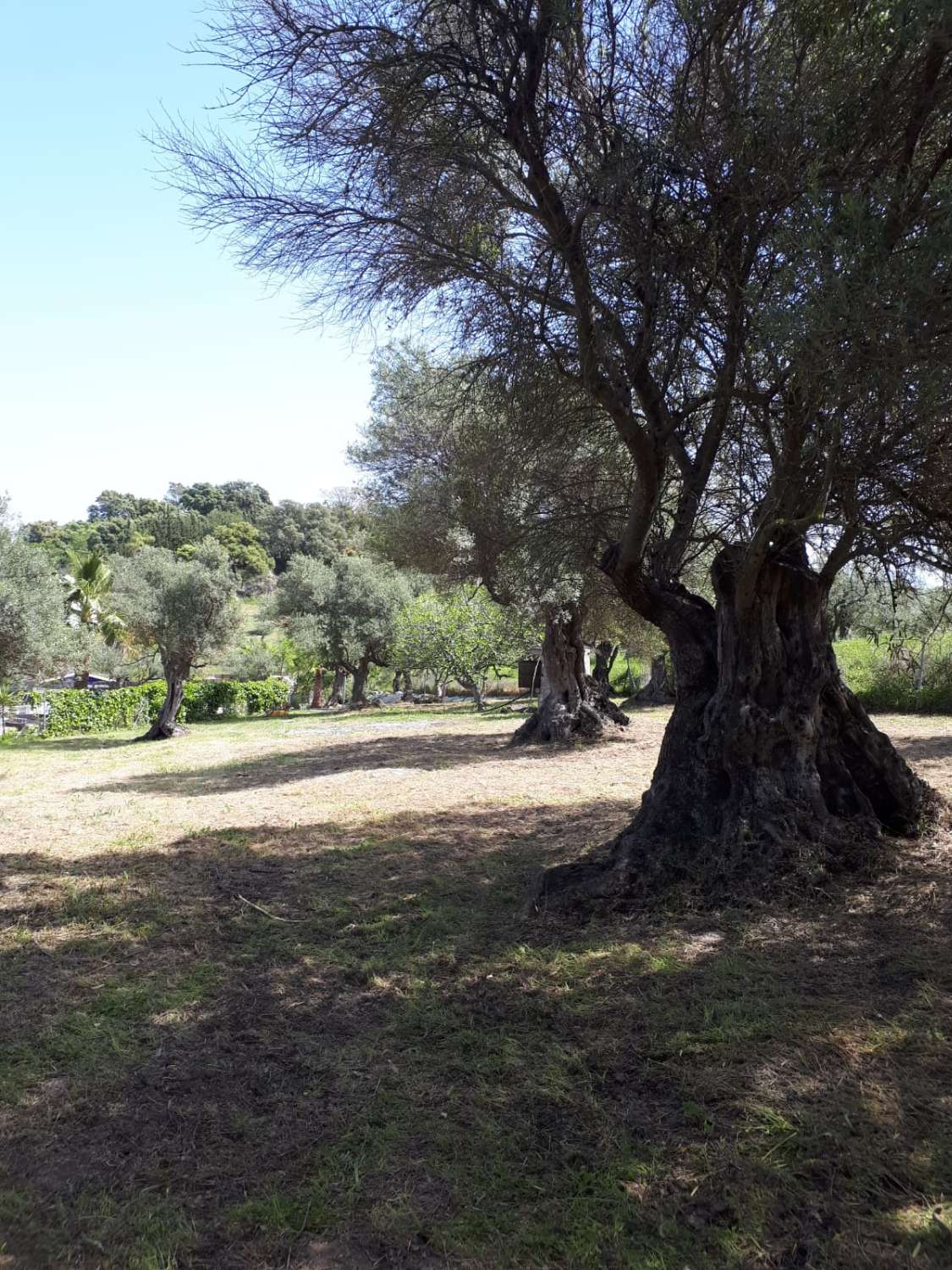 Villa en vente à Coín