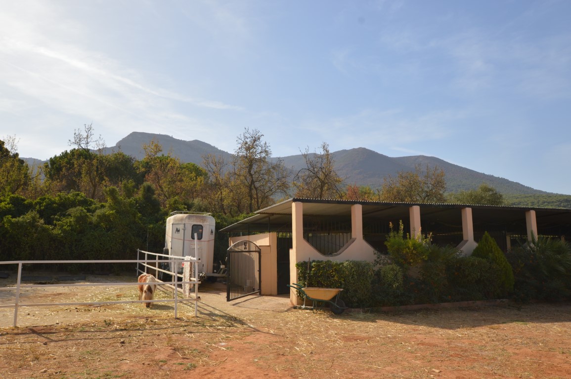 Finca en venta en Alhaurín el Grande