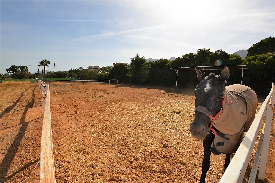 Finca en venta en Alhaurín el Grande