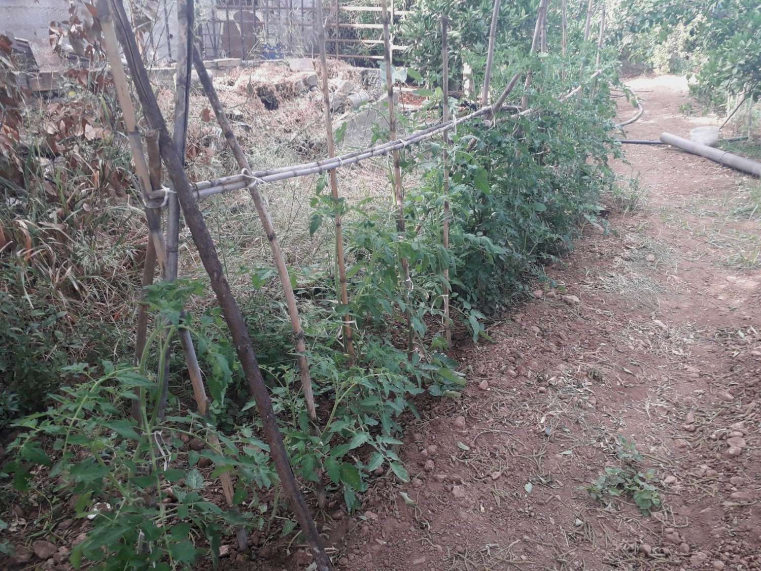 Plot en venda in Alhaurín de la Torre
