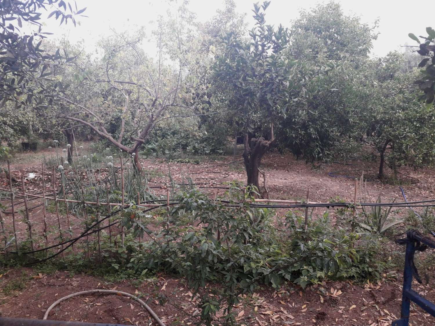 Plot en venda in Alhaurín de la Torre