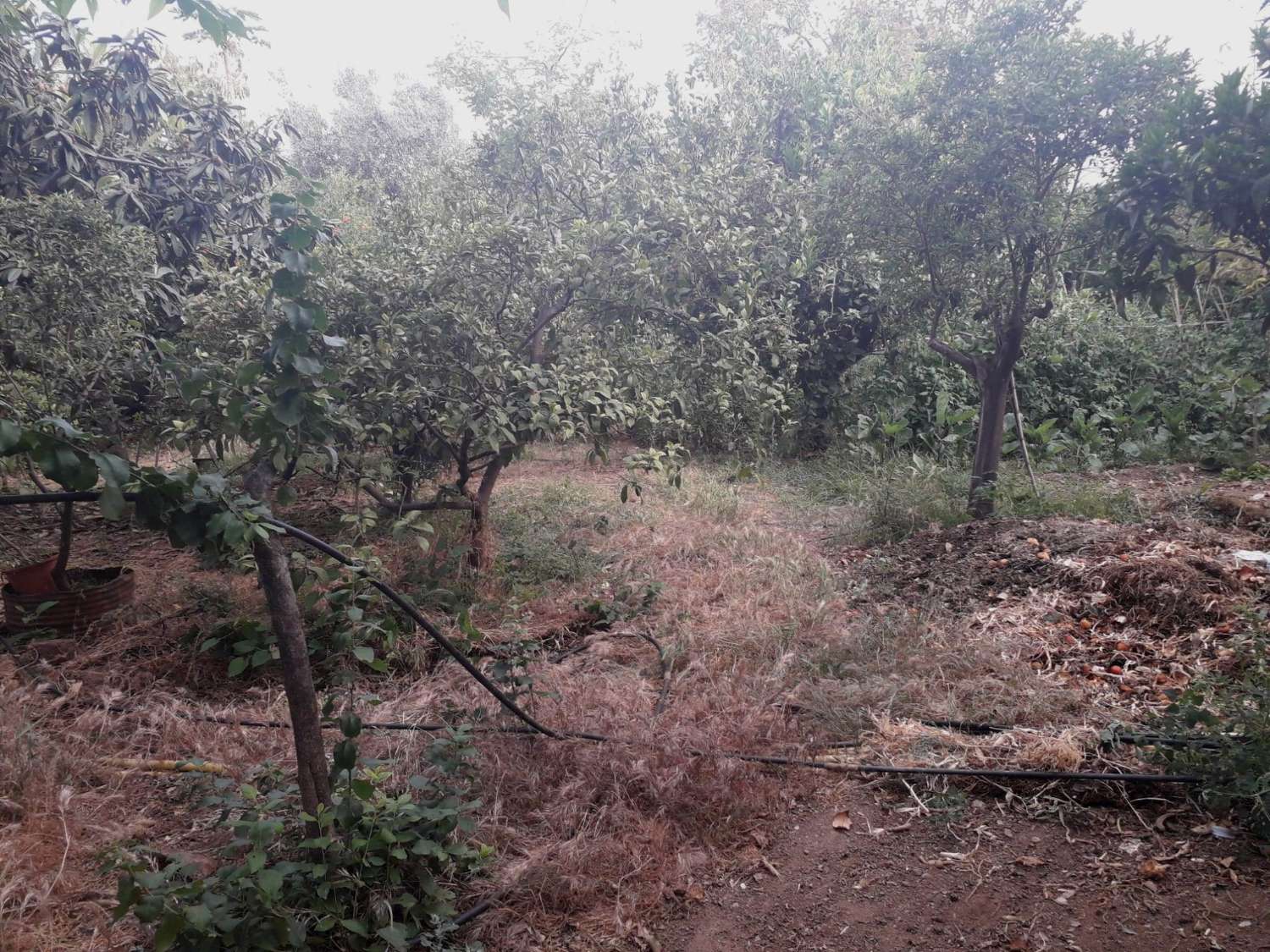 Plot en venda in Alhaurín de la Torre