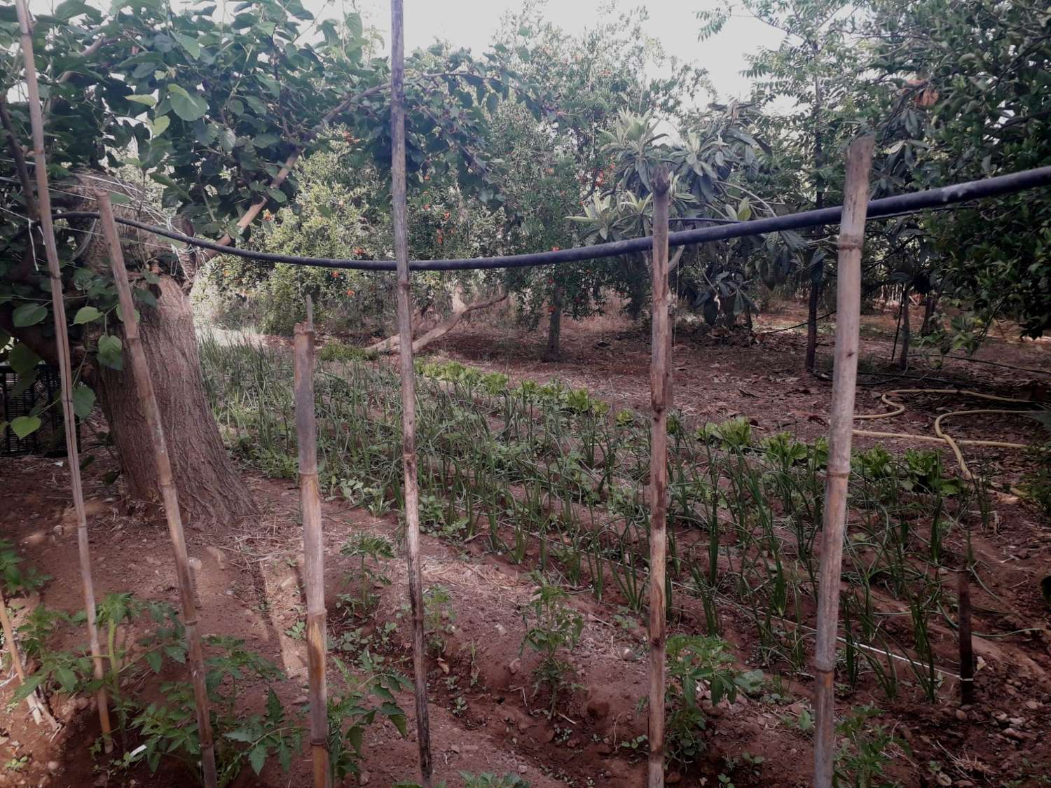 Plot en venda in Alhaurín de la Torre