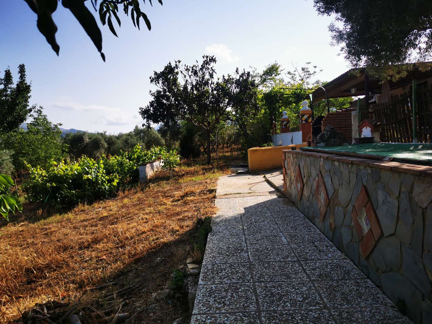 SUPER PROPRIÉTÉ RUSTIQUE À VENDRE, DANS LA SERRANIA DE RONDA.