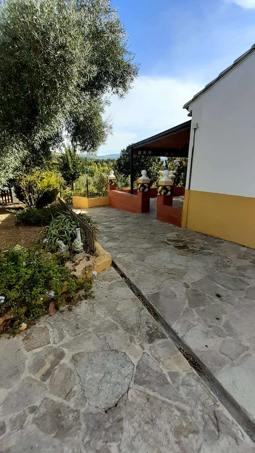 SUPER PROPRIÉTÉ RUSTIQUE À VENDRE, DANS LA SERRANIA DE RONDA.