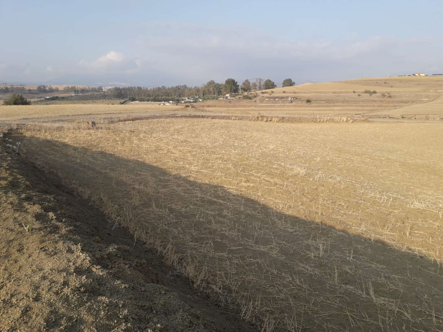 Country Property en venda in Cerralba