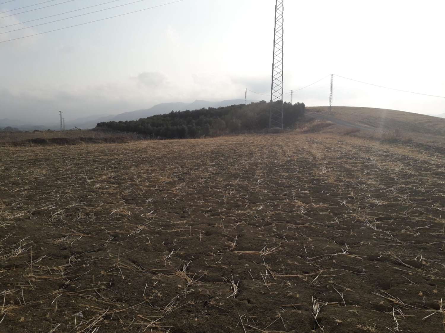 Country Property en venda in Cerralba