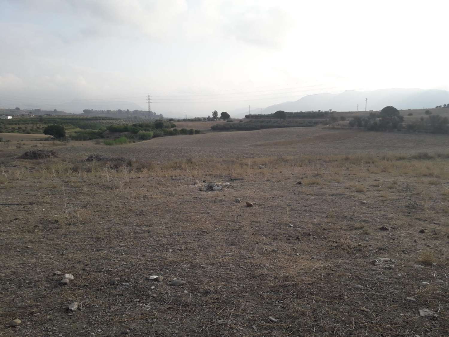 Country Property en venda in Cerralba