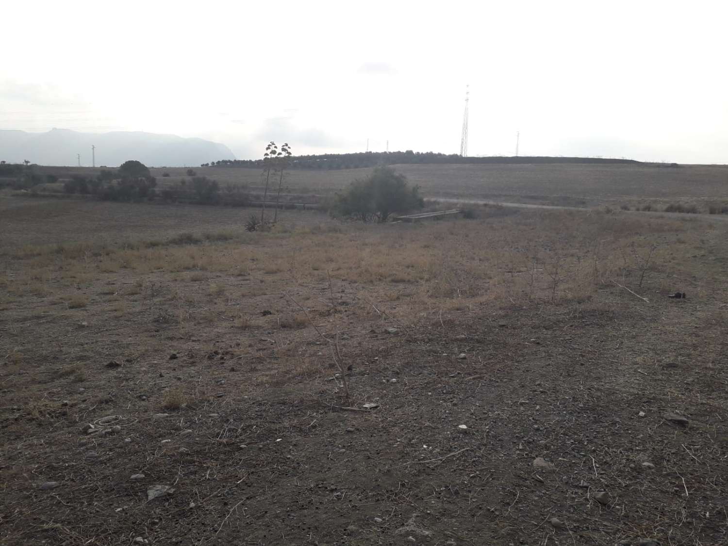 Country Property en venda in Cerralba
