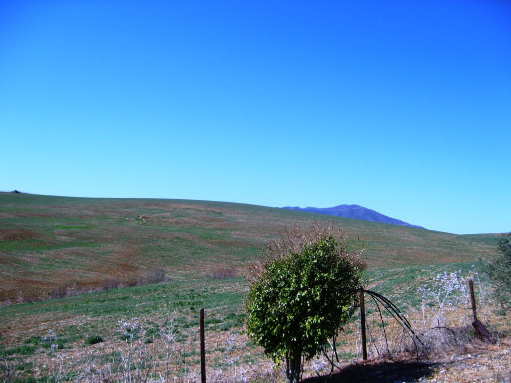 Finca en venta en Álora