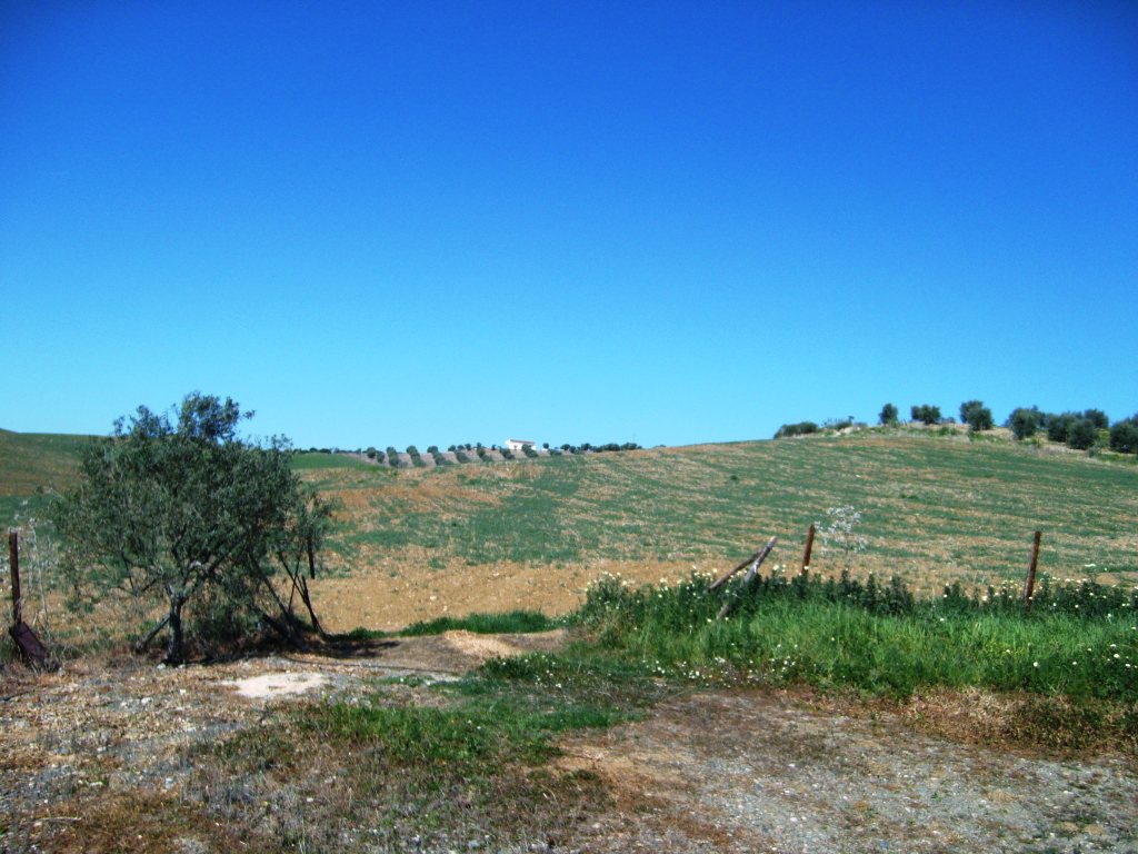 Finca en venta en Álora