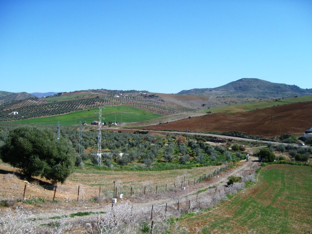 Finca en venta en Álora