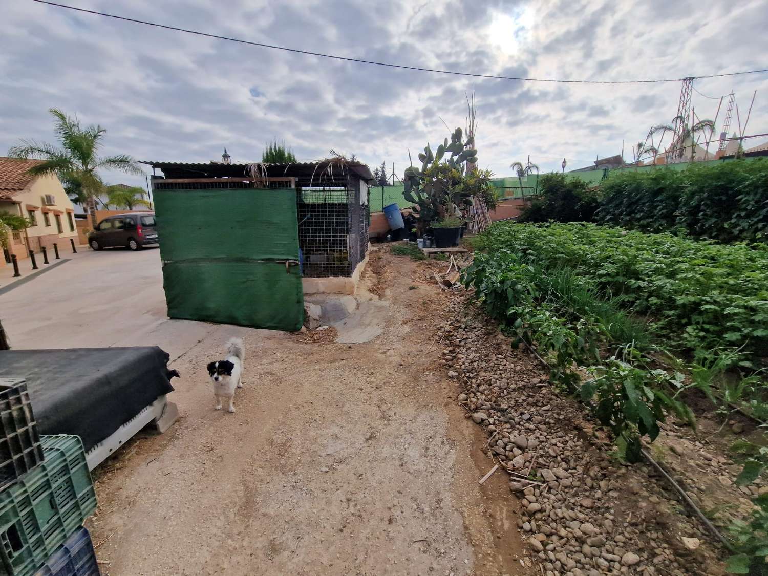 Percelen te koop in Alhaurín de la Torre