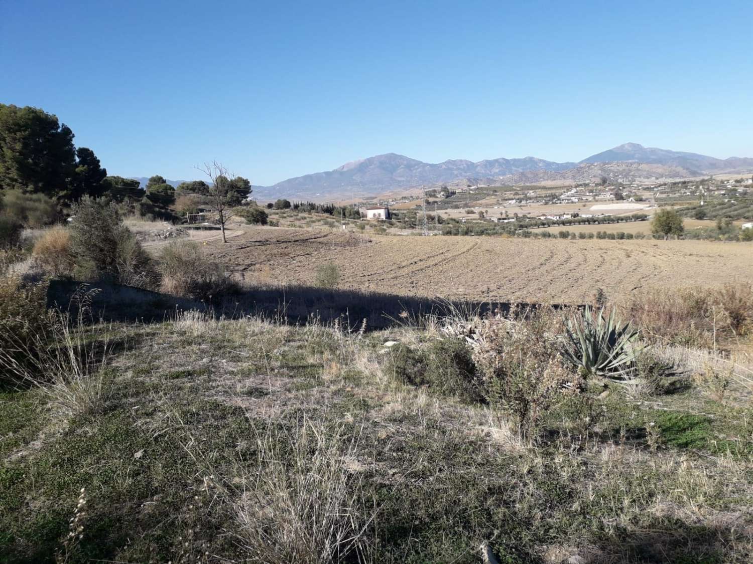 Finca en venta en Cártama