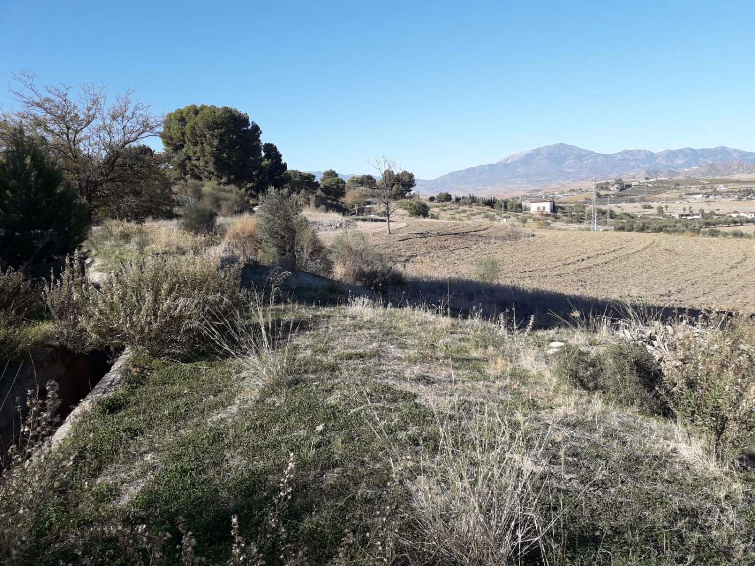 Finca en venta en Cártama