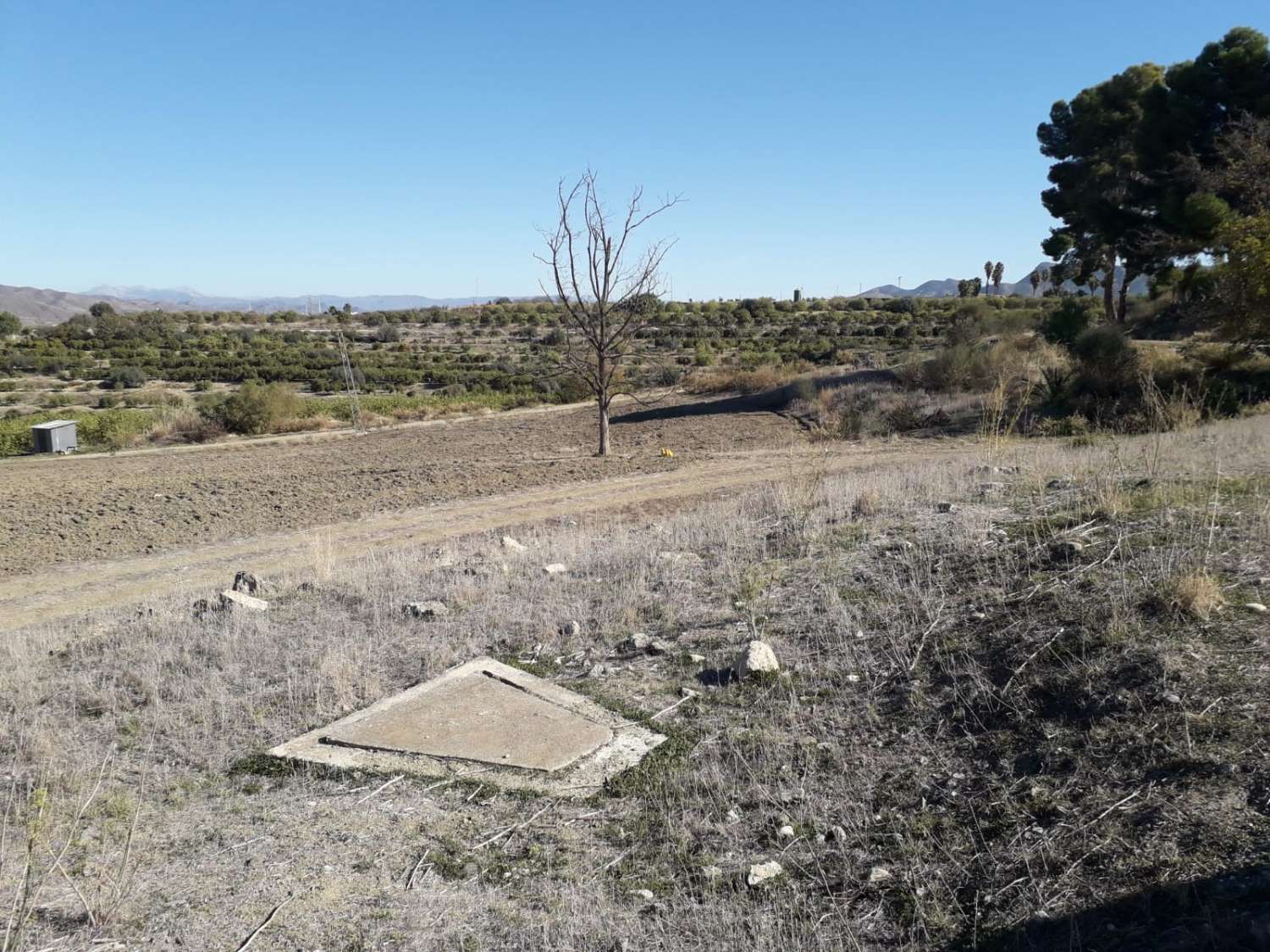 Finca en venta en Cártama