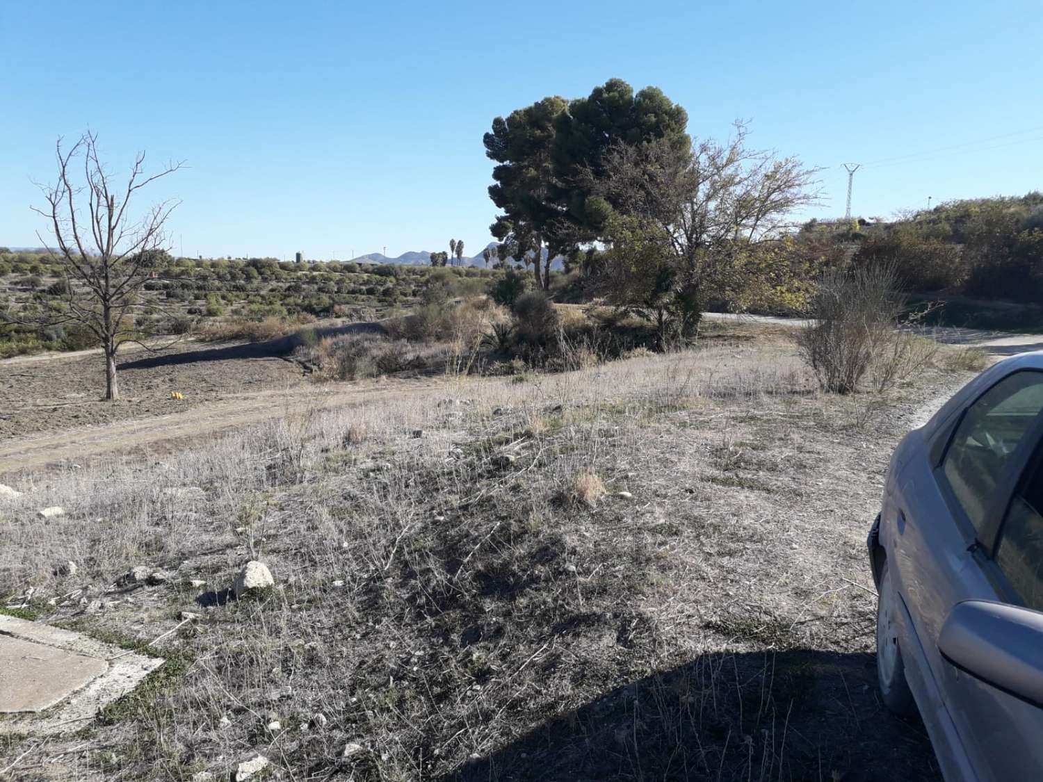 Finca en venta en Cártama