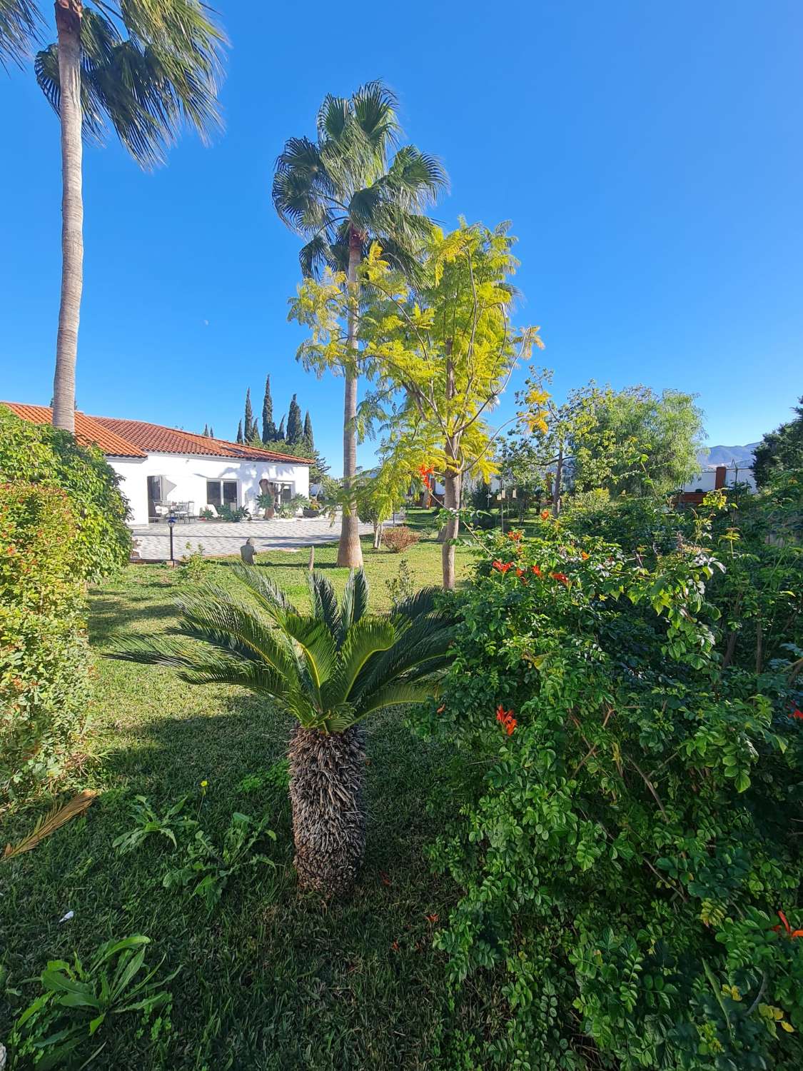 Villa en venta en Alhaurín de la Torre