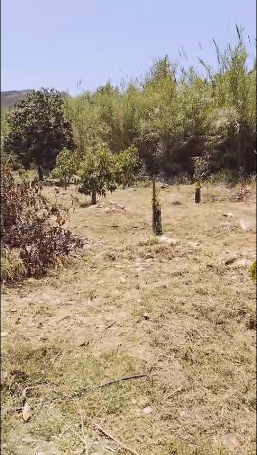 Casa en venta en Coín