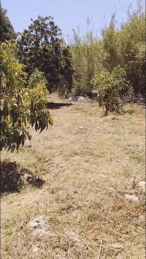 Casa en venta en Coín