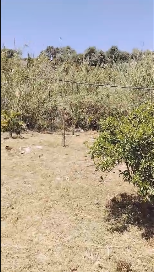 Casa en venta en Coín