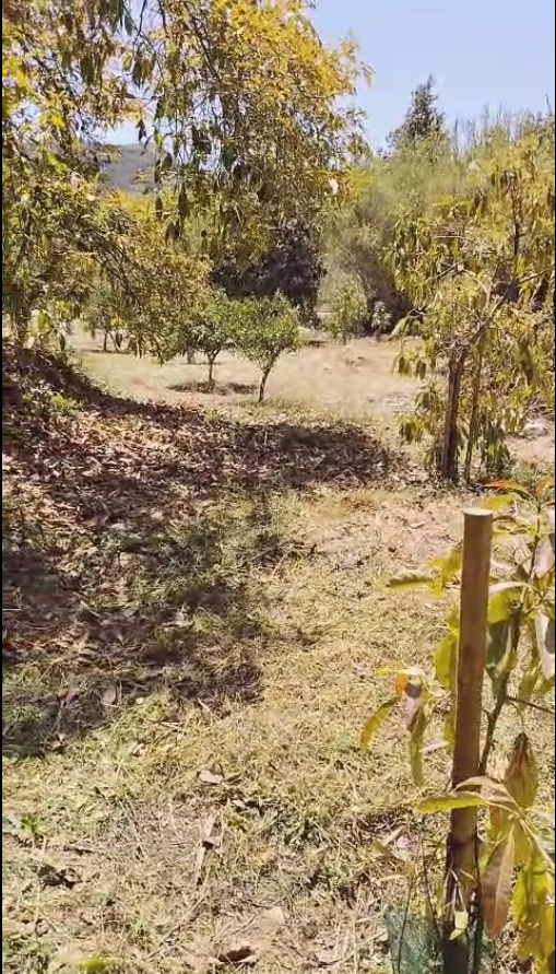 Casa en venta en Coín