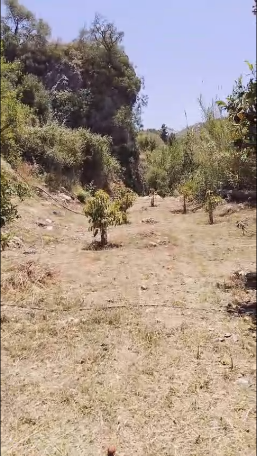 Casa en venta en Coín